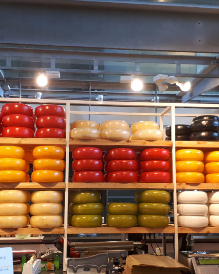 View of colorful Dutch cheese on the wall in Rotterdam