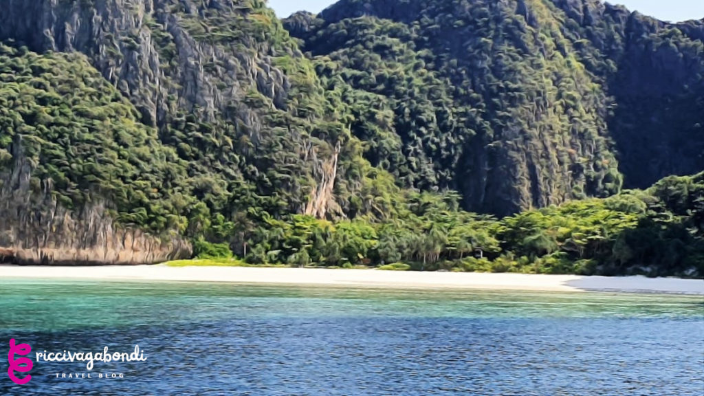View of the flourishing nature on the Phi Phi Islands