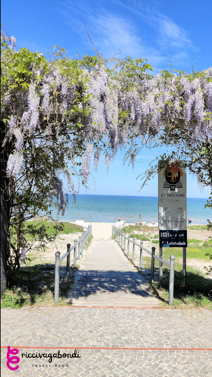 View of beach entrance in Binz on Rügen island and flowers on the arch door